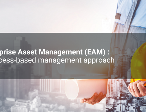 Asset Management: a process-based management approach