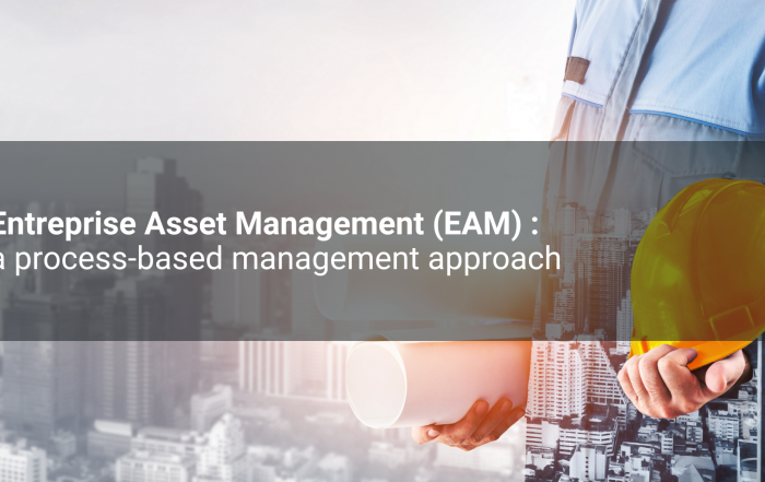 Entreprise Asset Management (EAM) : a process-based management approach