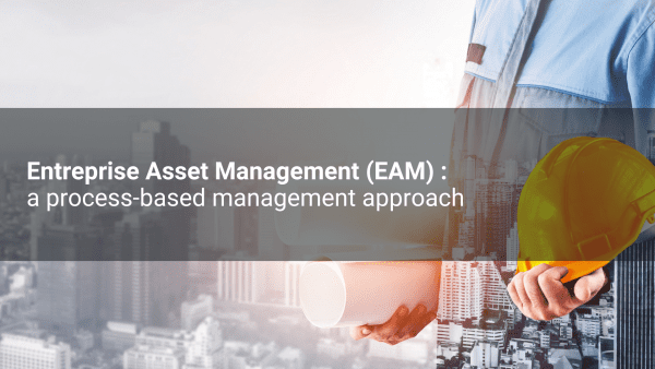 Entreprise Asset Management (EAM) : a process-based management approach